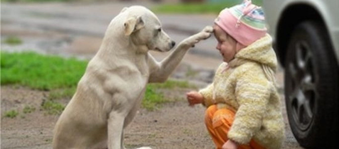 Τα σκυλιά κάνουν καλό στην υγεία των παιδιών! (φωτό)